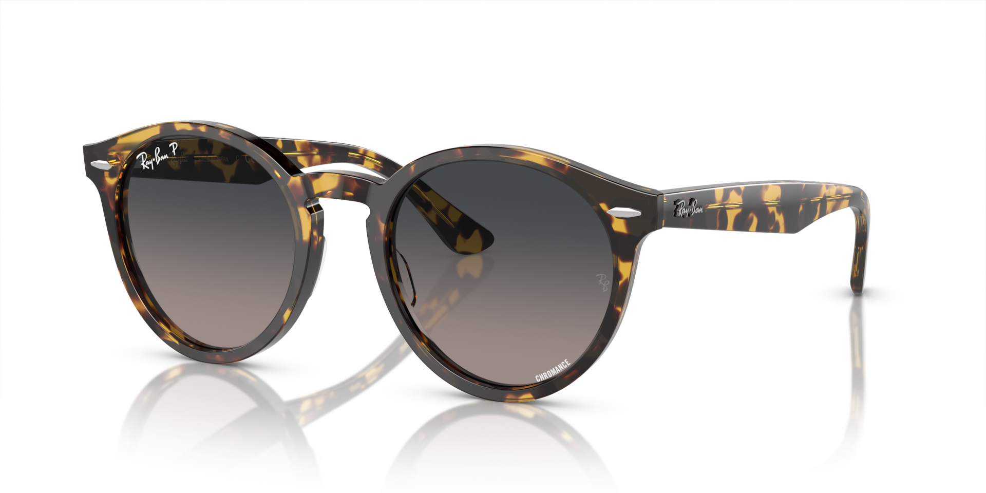 RB7680S Larry Polarized+ Lenses