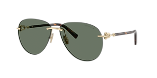 Tiffany & Co. TF4253F XL (55 - 16) with Grey lenses and Black