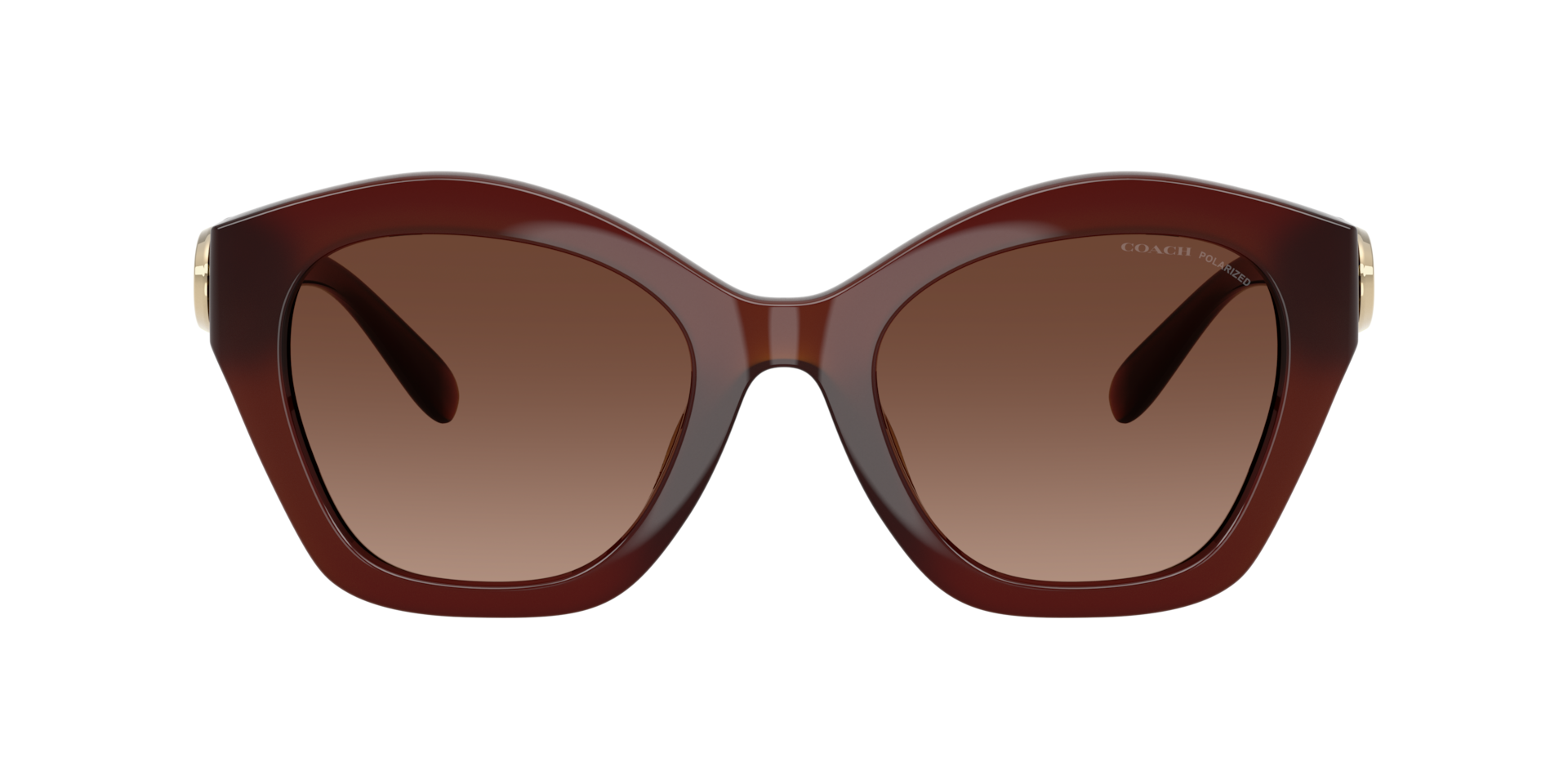 Coach CAD31 L (54 - 22) with Brown lenses and Brown frame