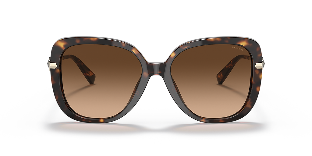 Coach C6180 XL (55 - 17) with Brown lenses and Tortoise frame