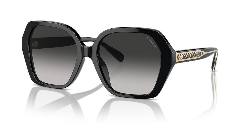 Coach CR615 L (56 - 18) with Grey lenses and Black frame