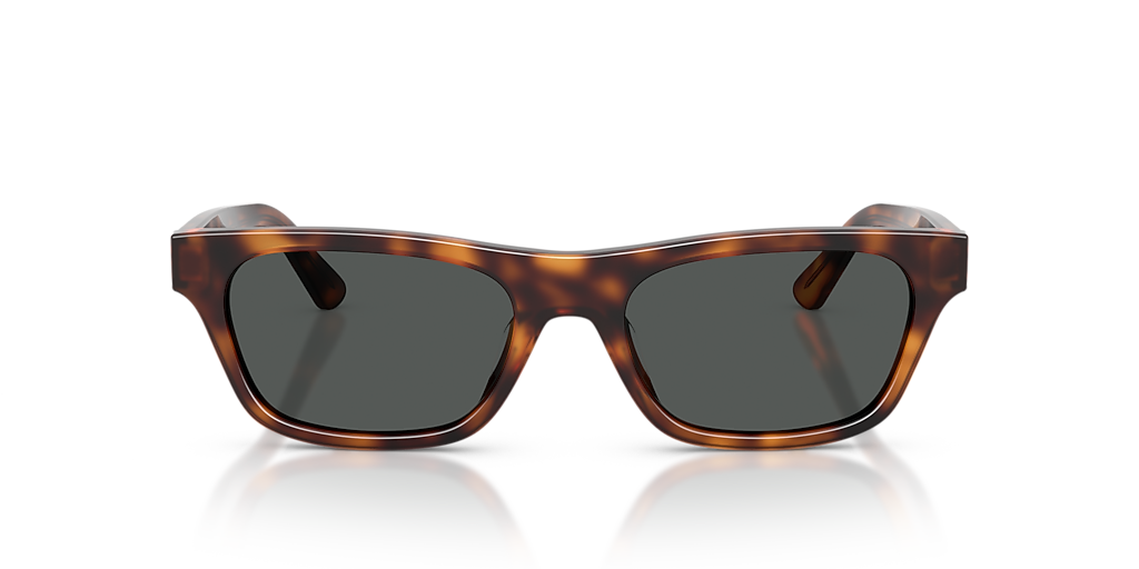 Polo Ralph Lauren PH4238U M (53 - 18) with Grey lenses and Brown