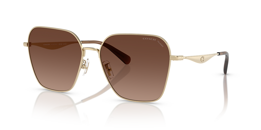 Coach CW189 XL (58 - 16) with Brown lenses and Gold frame