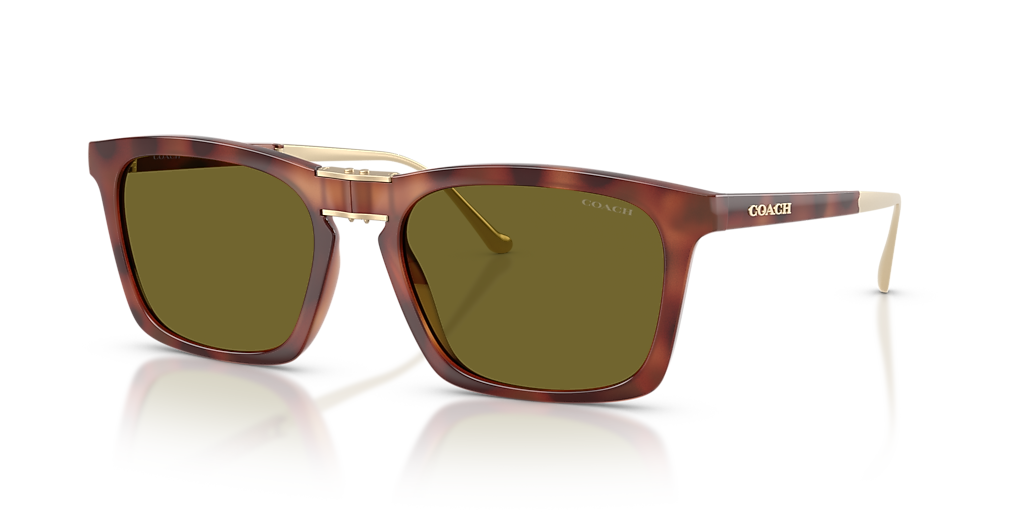 Coach CDP54 L (56 - 19) with Green lenses and Tortoise frame