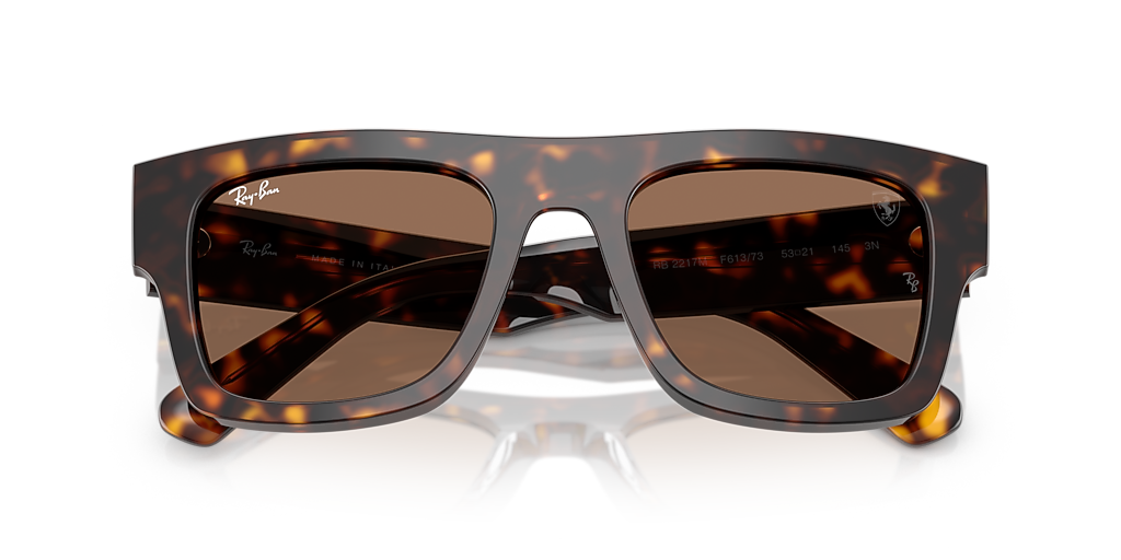Ray-Ban RB2217M Scuderia Ferrari Collection L (53 - 21) with Brown