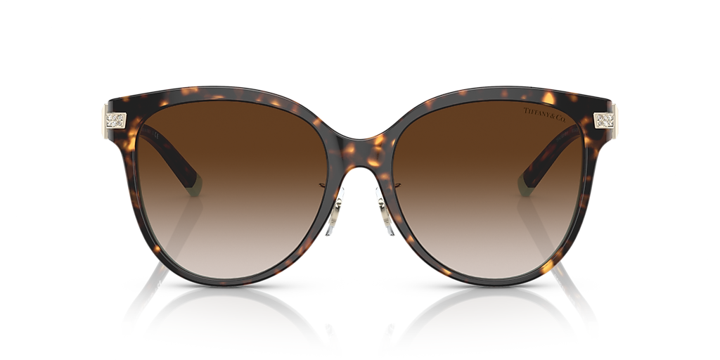 ティファニー　サングラス　TF4178BF デミブラウン アジアンフィット Tiffany & Co. TF4193BF XL (55 - 17) with Brown lenses and Brown
