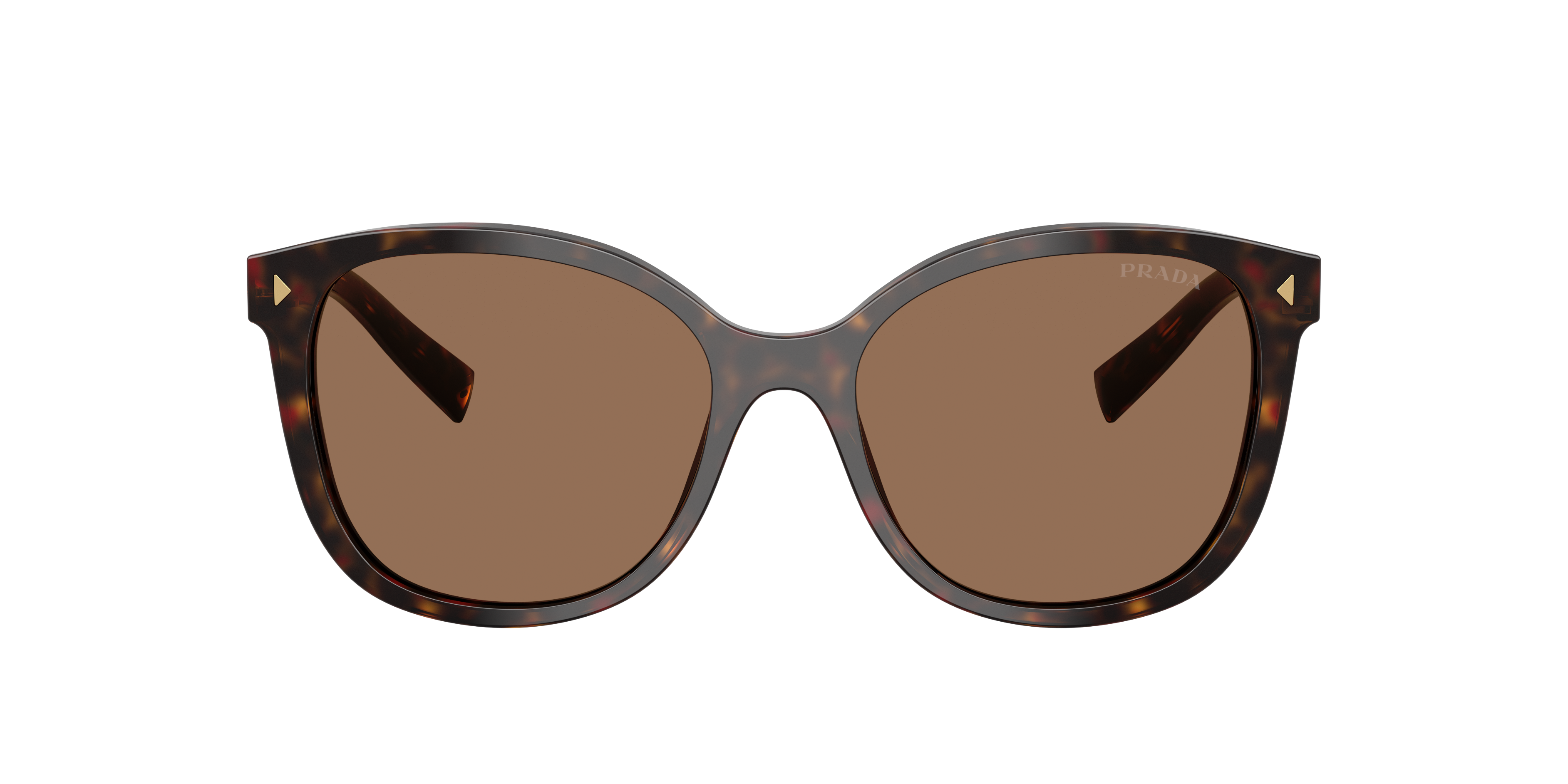 Prada PR 22ZS S (53 - 17) with Brown lenses and Tortoise frame