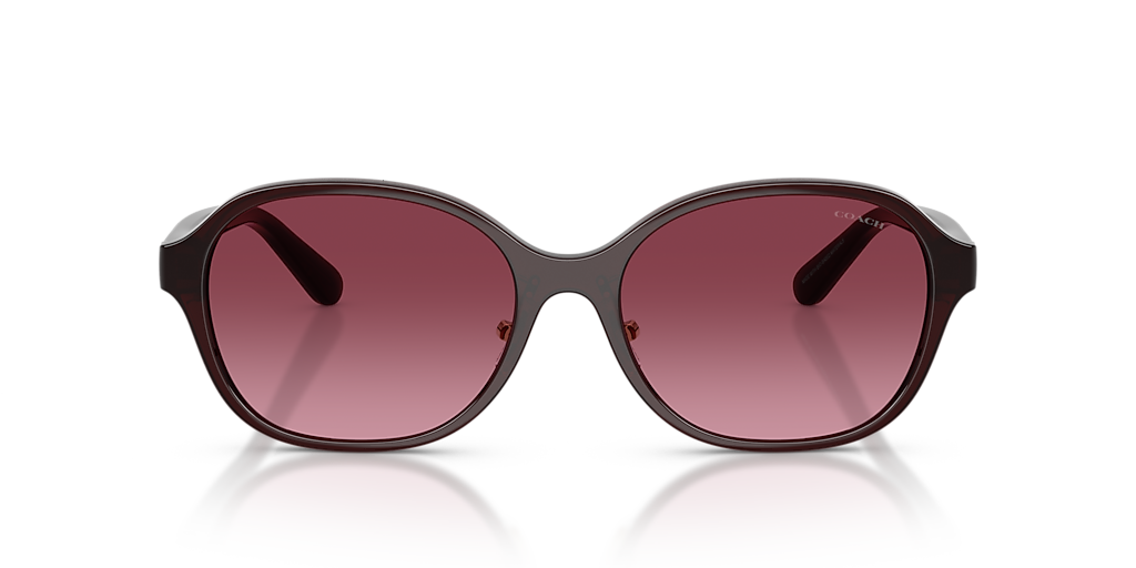 Coach CBY85 L (56 - 17) with Violet lenses and Red frame