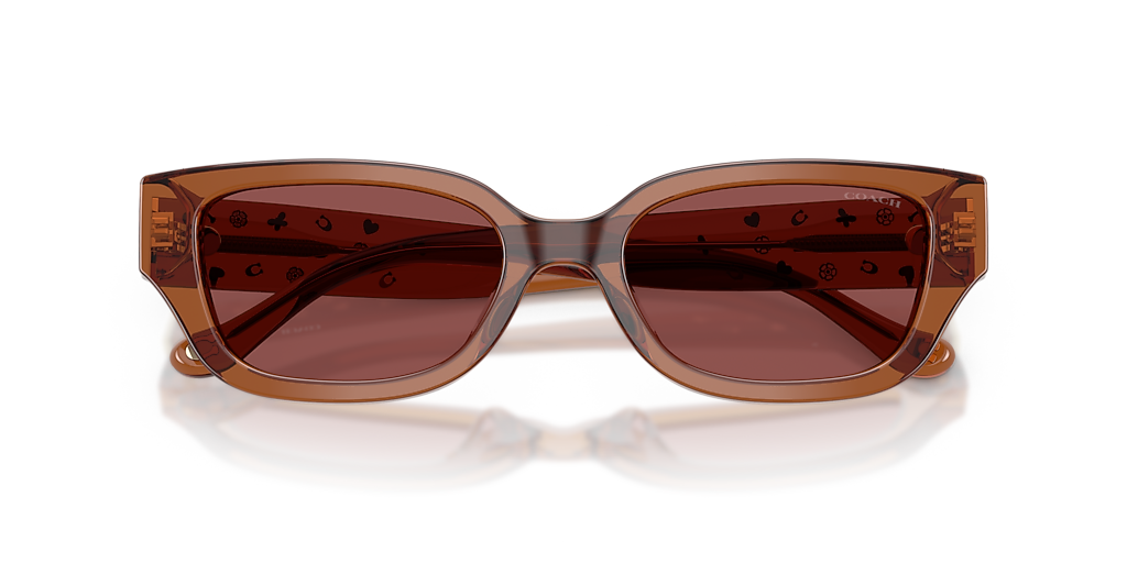 Coach CBZ52 M (53 - 19) with Violet lenses and Brown frame  display picture 1