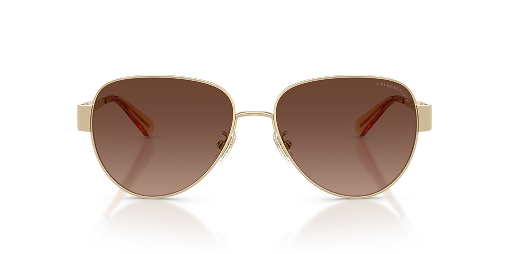 Coach CDP37 L (57 - 16) with Brown lenses and Gold frame