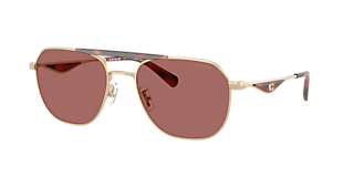 Coach HC8426U CAD81 L (54 - 19) with Violet lenses and Grey frame