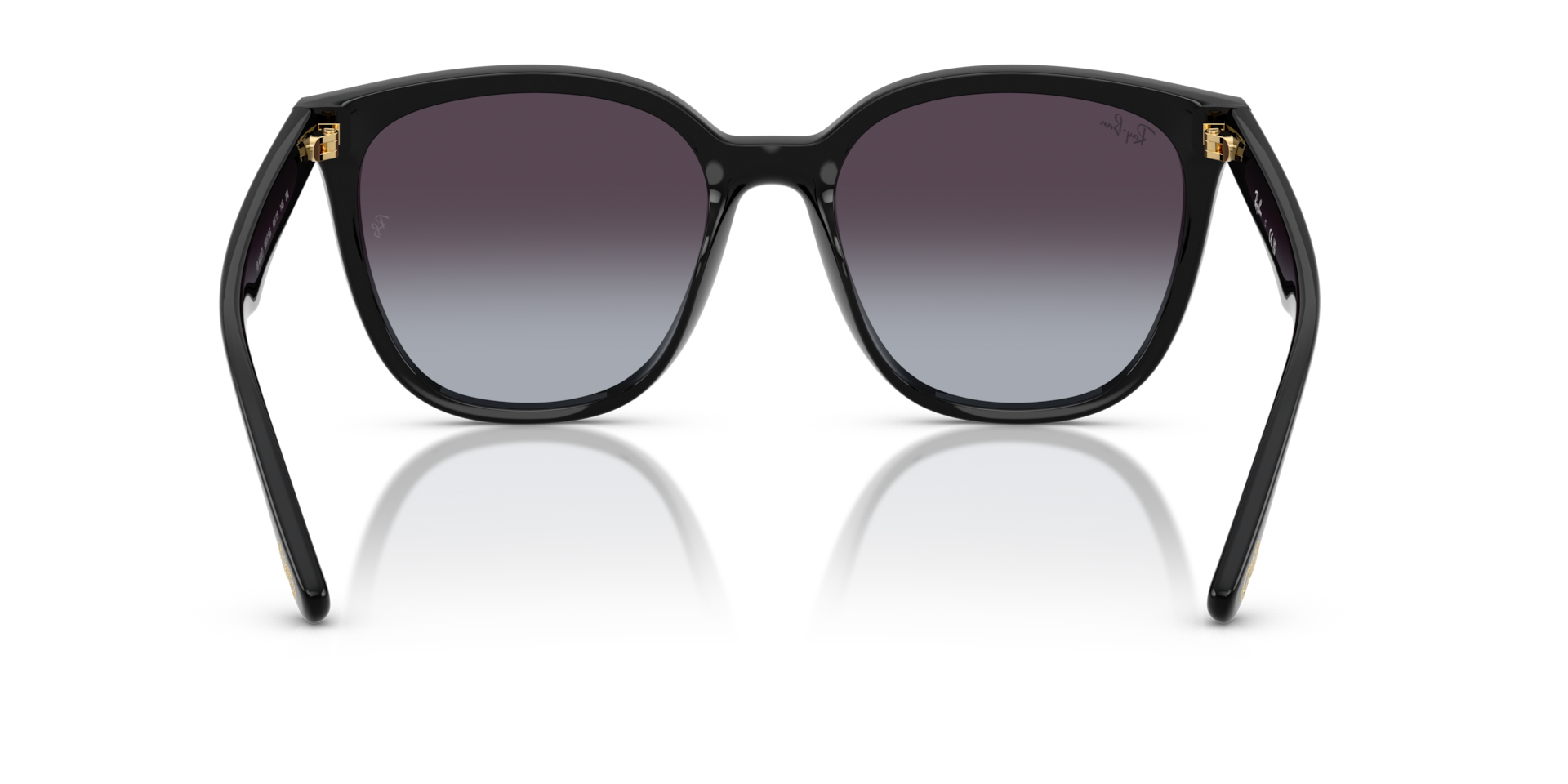 Ray-Ban RB4423D Year Of The Snake Edition XL (66 - 15) with Grey 