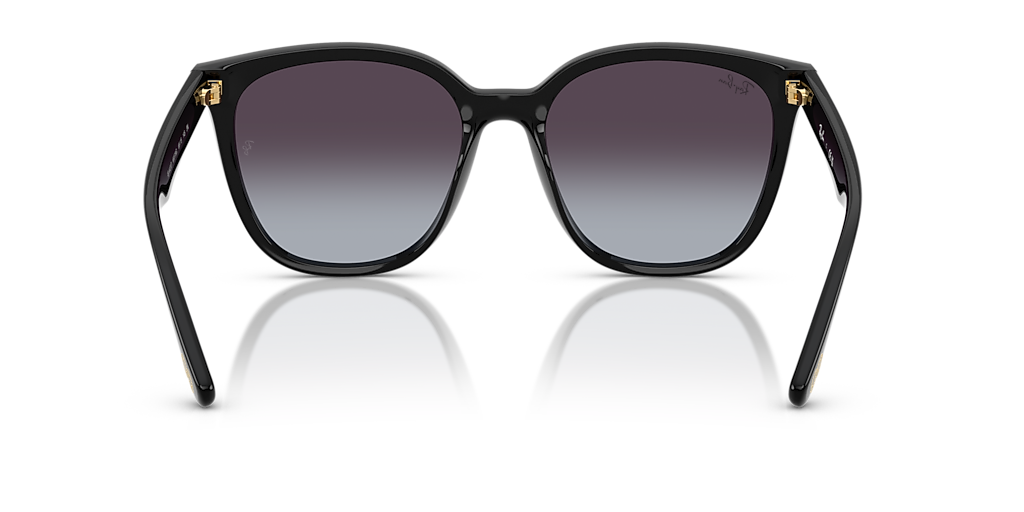 Ray-Ban RB4423D Year Of The Snake Edition XL (66 - 15) com Lentes