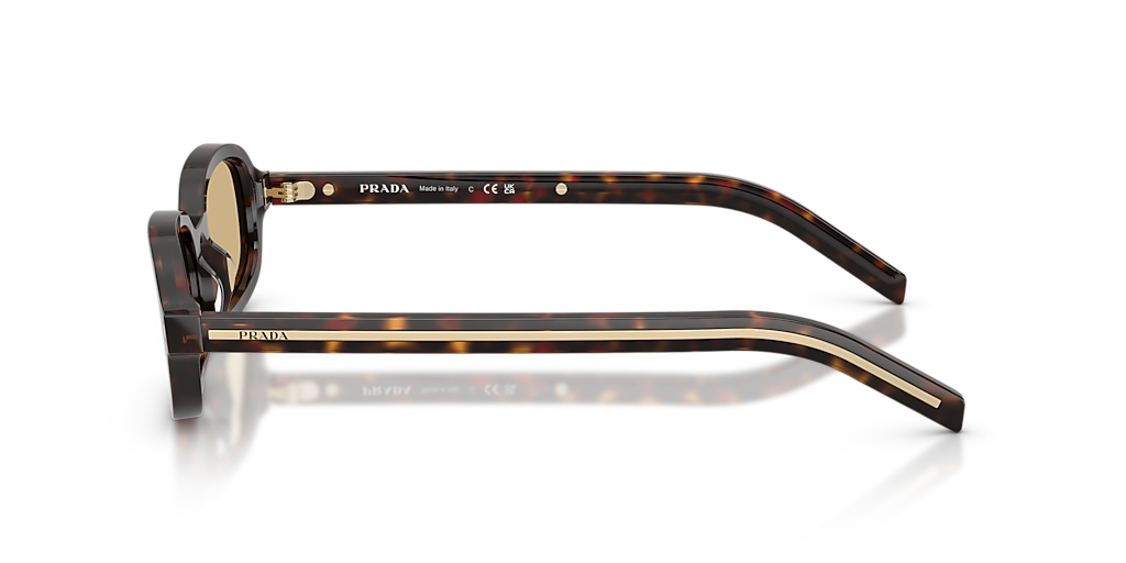 Prada PR D06S XS (50 - 20) with Brown lenses and Tortoise frame