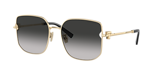 Tiffany & Co. TF4237B M (55 - 17) with Grey lenses and Black frame