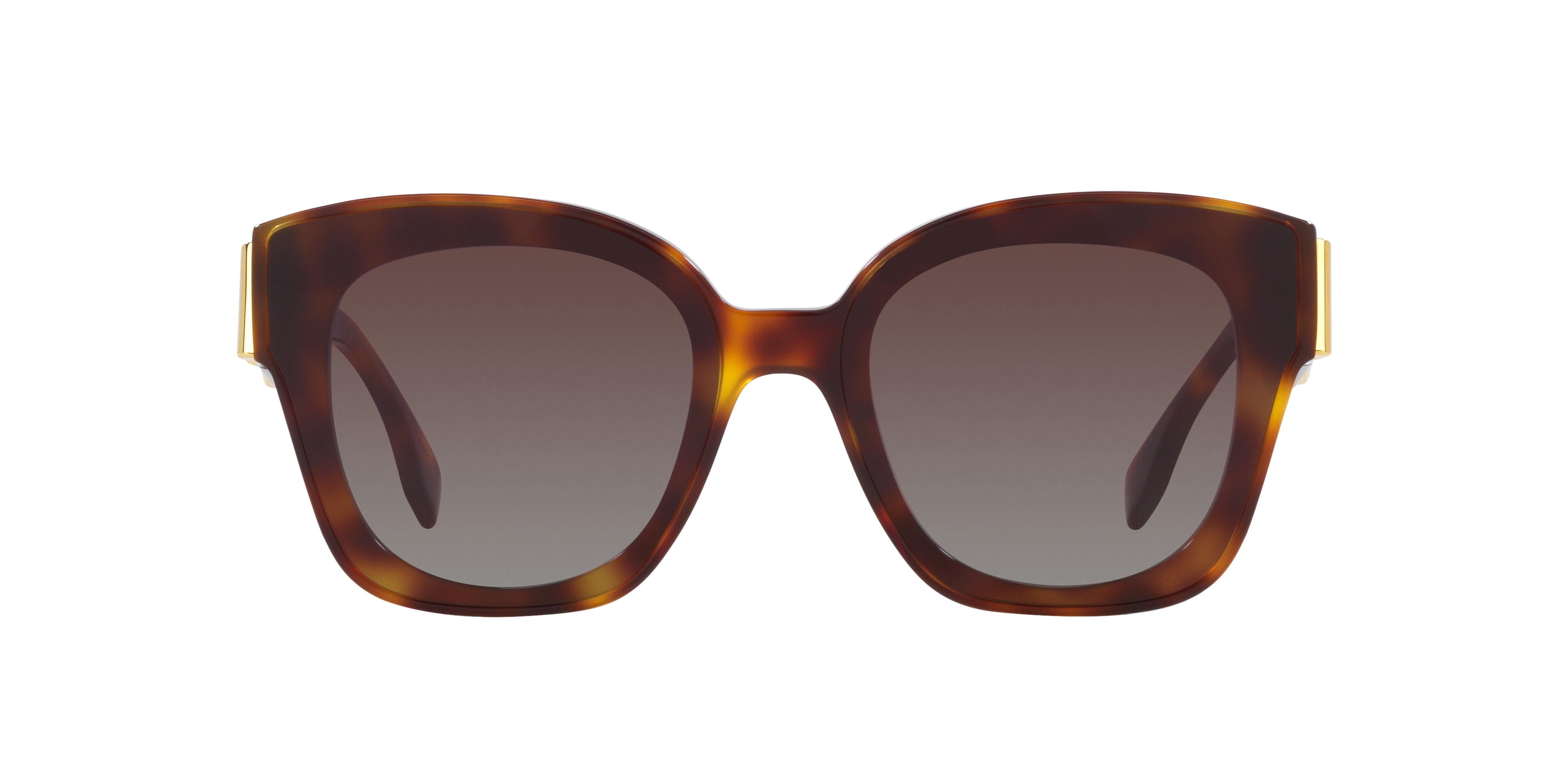 Fendi FE40098I XXS (63 - 15) with Grey lenses and Tortoise frame