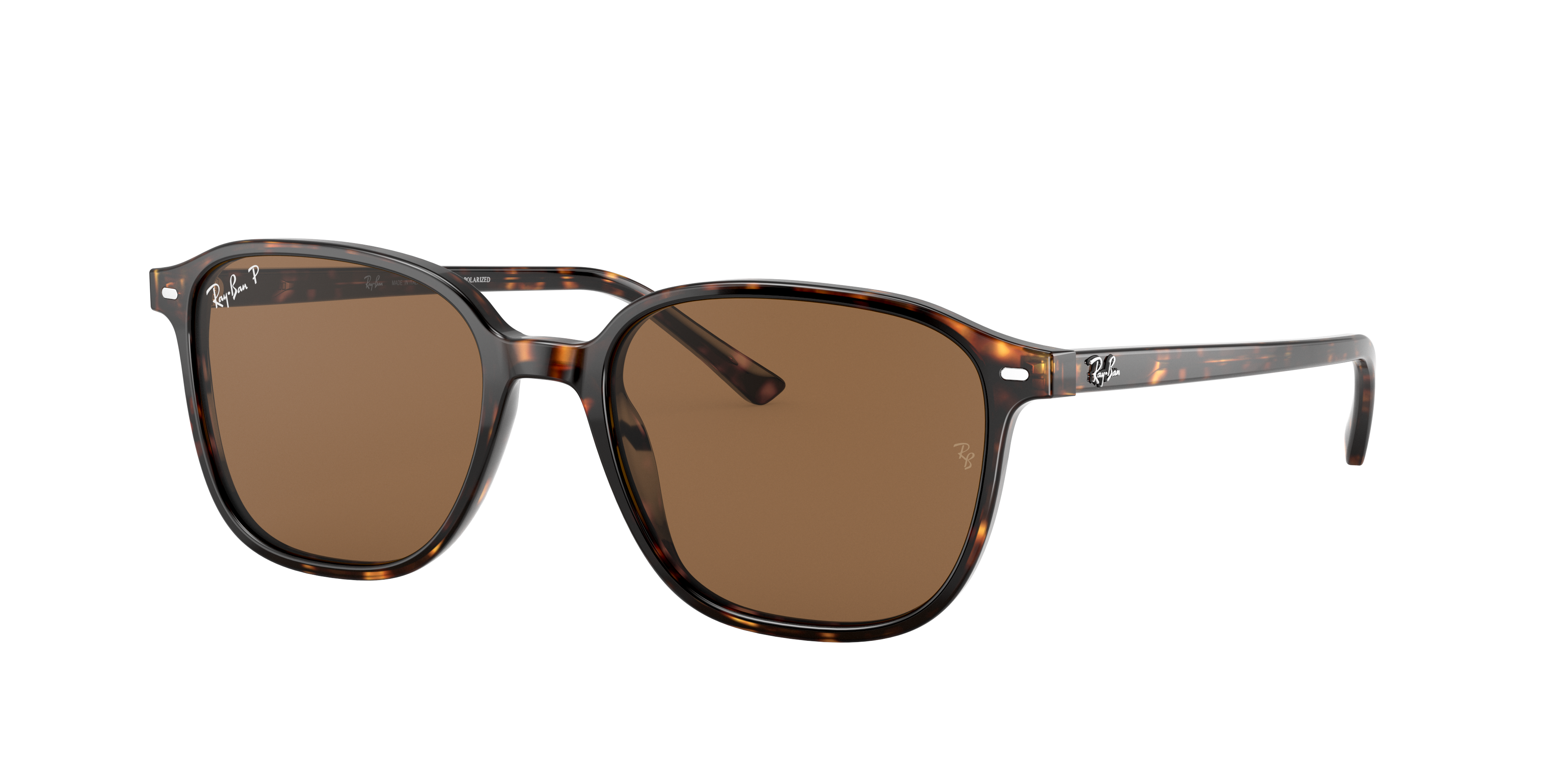 Ray-Ban Leonard M (53 - 18) with Brown lenses and Tortoise frame