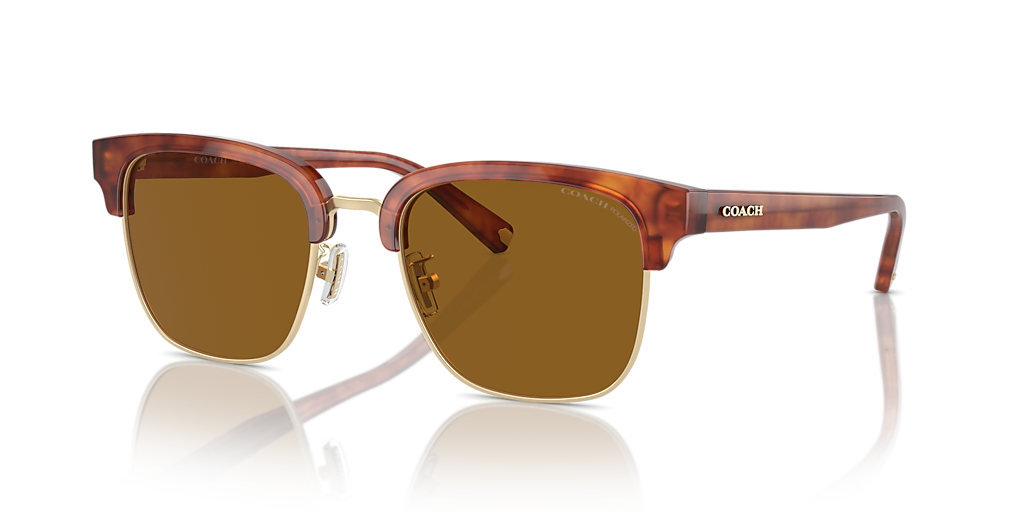 Coach C6194 M (52 - 20) with Brown lenses and Yellow frame