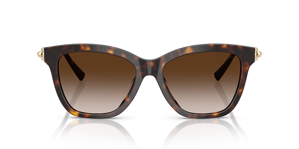 Tiffany & Co. TF4241D XXL (54 - 17) with Brown lenses and Tortoise