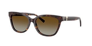 Tiffany & Co. TF4237BF M (55 - 17) with Brown lenses and Tortoise