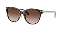 Tiffany & Co. TF4223D XL (54 - 20) with Grey lenses and Black