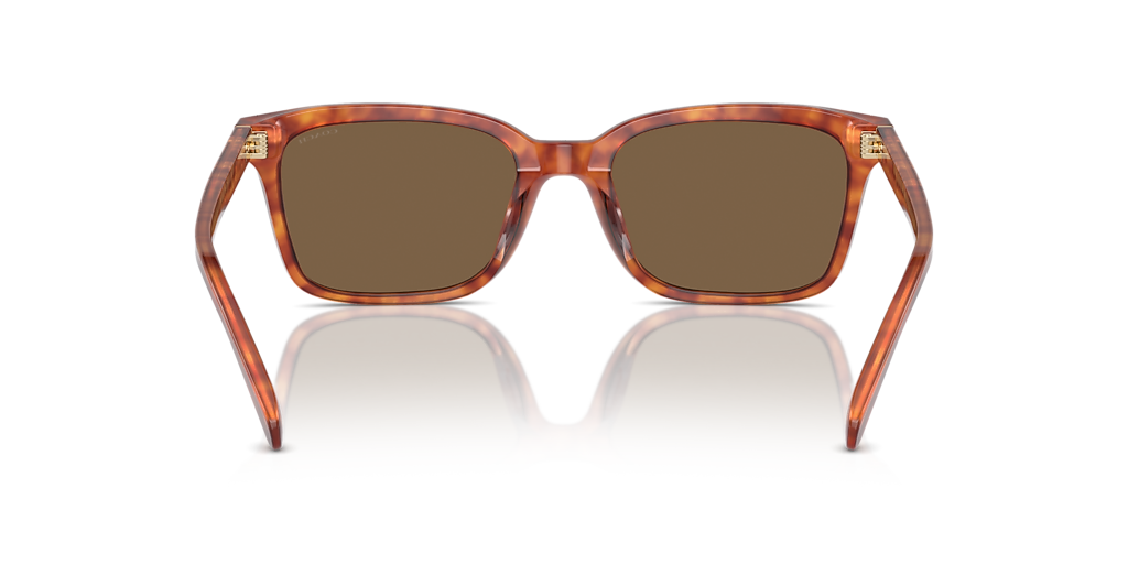 Coach HC8398U CR630 M (54 - 20) with Brown lenses and Tortoise