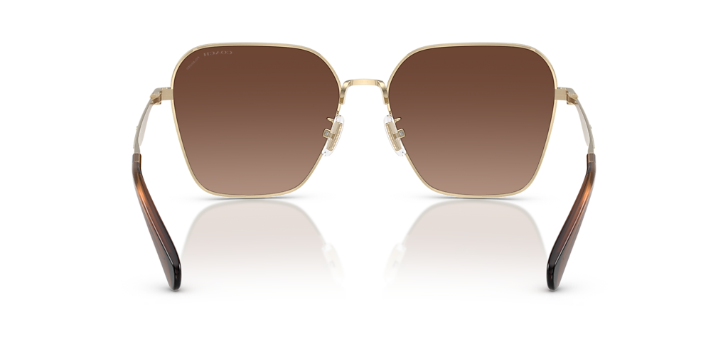 Coach CW189 XL (58 - 16) with Brown lenses and Gold frame