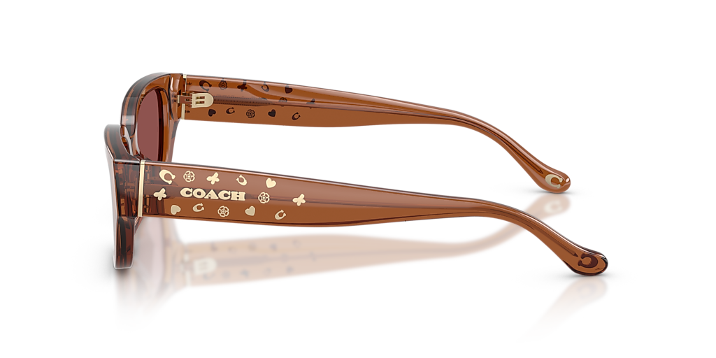 Coach CBZ52 M (53 - 19) with Violet lenses and Brown frame