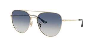Coach CBZ89 XL (56 - 17) with Blue lenses and Gold frame