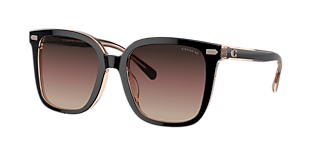 COACH ブラウン サングラス Coach L1101 M (57 - 16) with Brown lenses and Tortoise frame