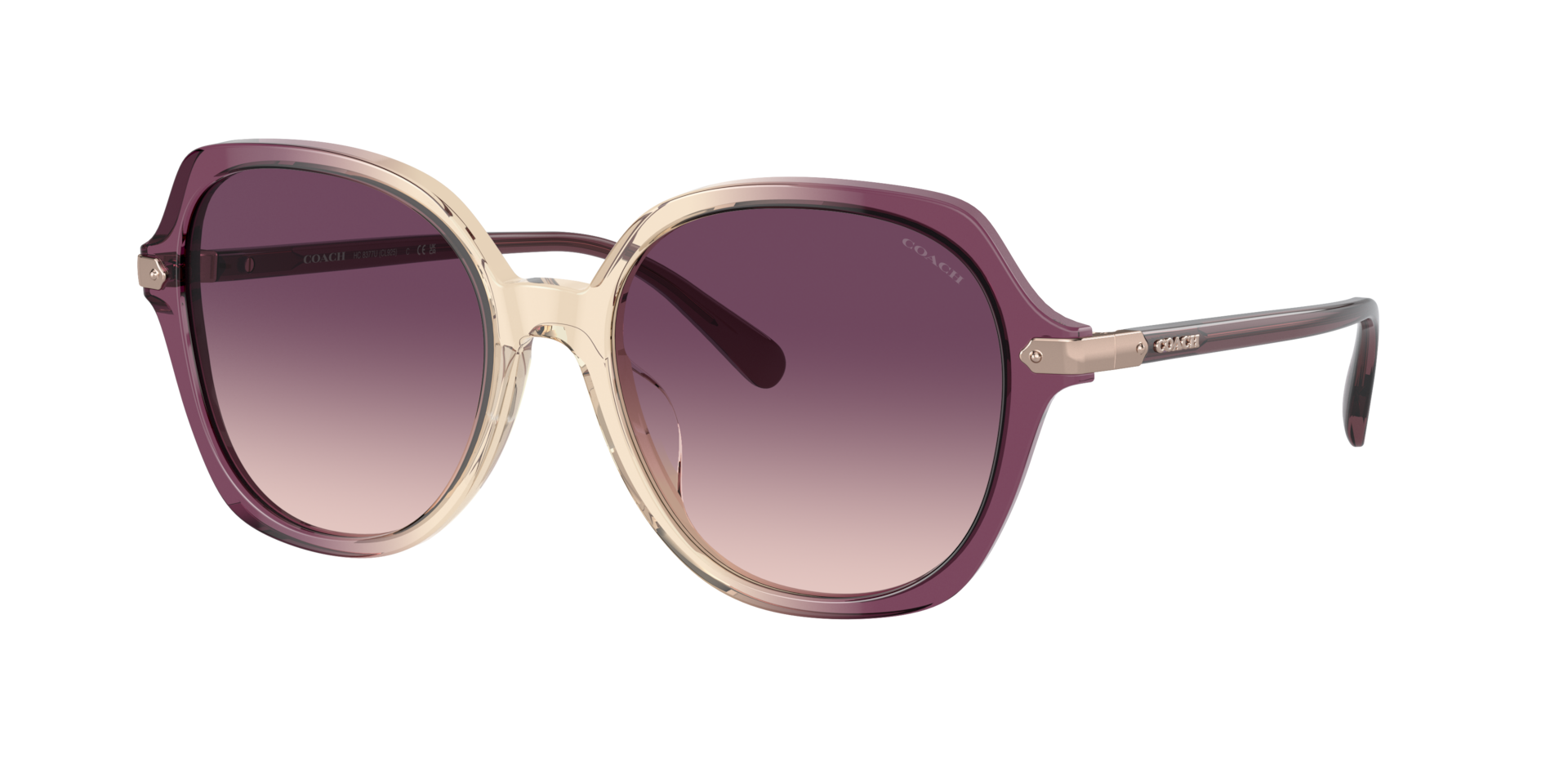 Coach Vrouwelijk Sunglass CL925 -  Framekleur: Multi, Lenskleur: Paars gradiënt