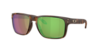 Oakley Holbrook™ XL XL (59 - 18) with Brown lenses and Grey frame