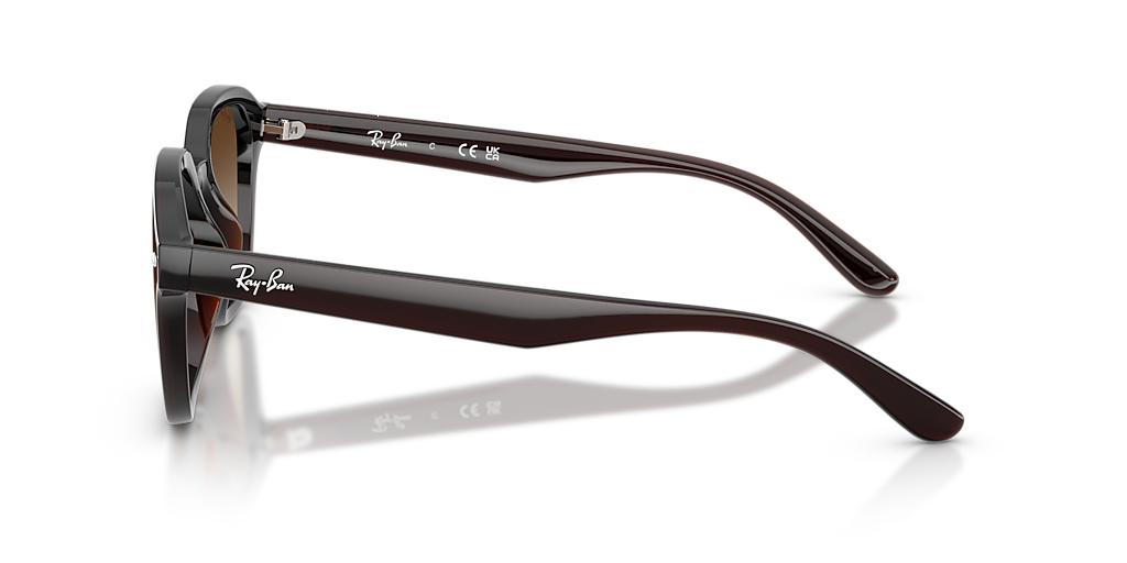 Ray-Ban RB4458D XL (65 - 18) with Brown lenses and Brown frame