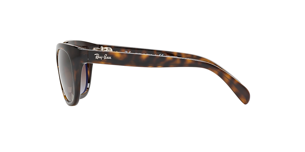 Ray-Ban RB4216 L (56 - 20) with Brown lenses and Tortoise  display picture 1
