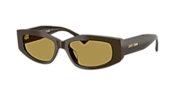 Jimmy Choo JC5046BU M (53 - 17) with Grey lenses and Black frame