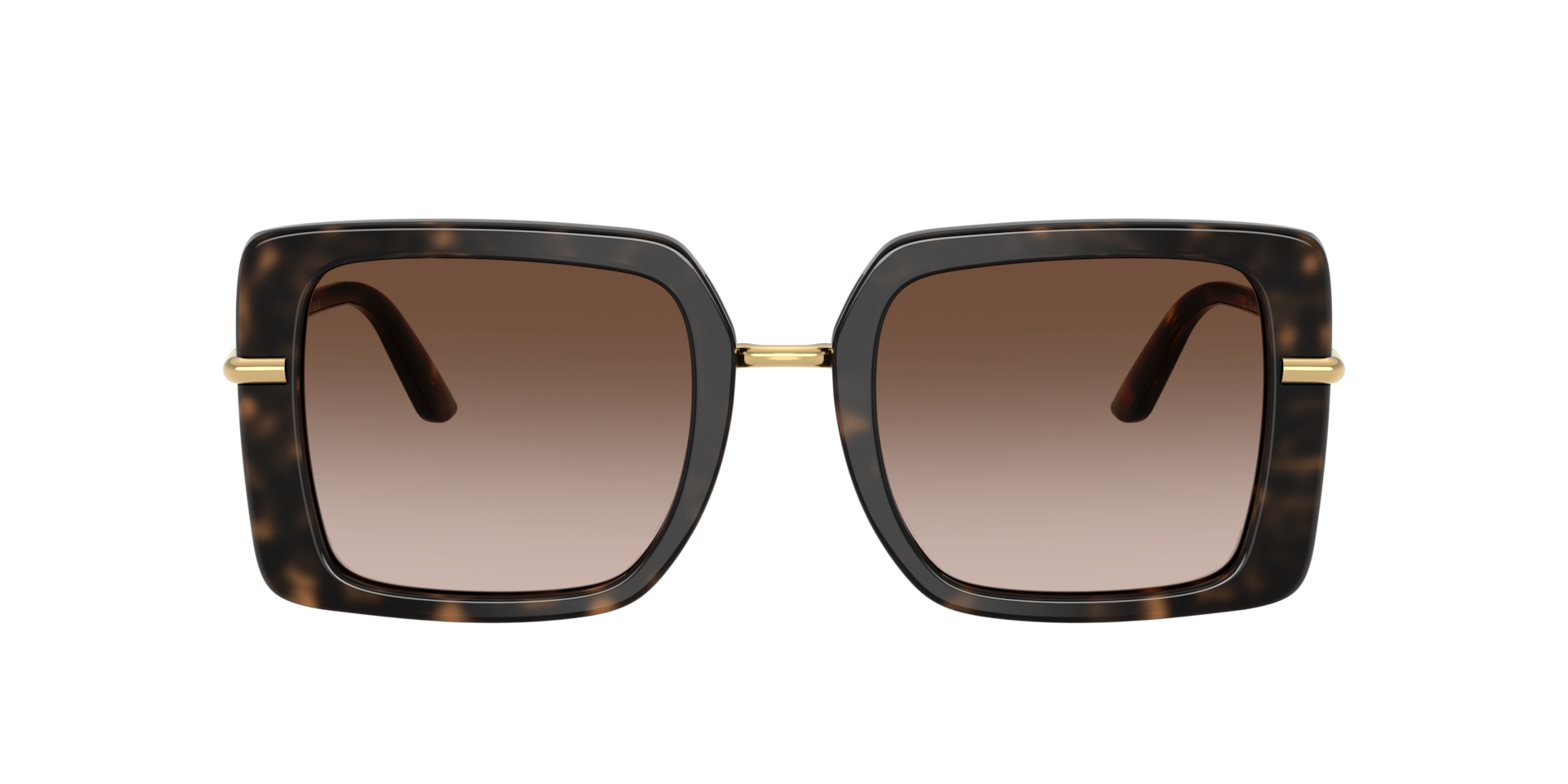 Dolce&Gabbana DG4491 XXL (52 - 22) with Brown lenses and Tortoise