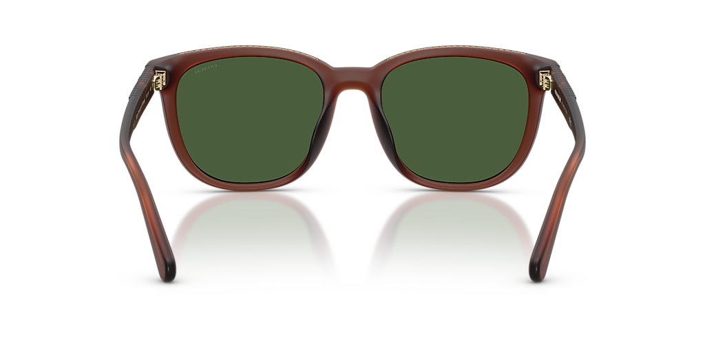 Coach CCA00 L (54 - 19) with Green lenses and Brown frame
