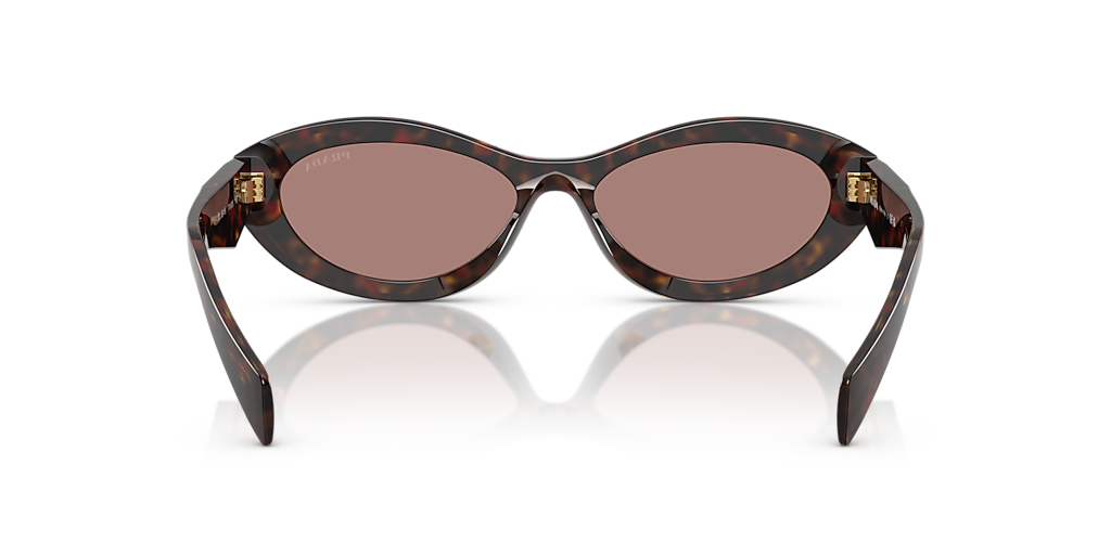 Prada PR 26ZS M (55 - 16) with Brown lenses and Tortoise frame
