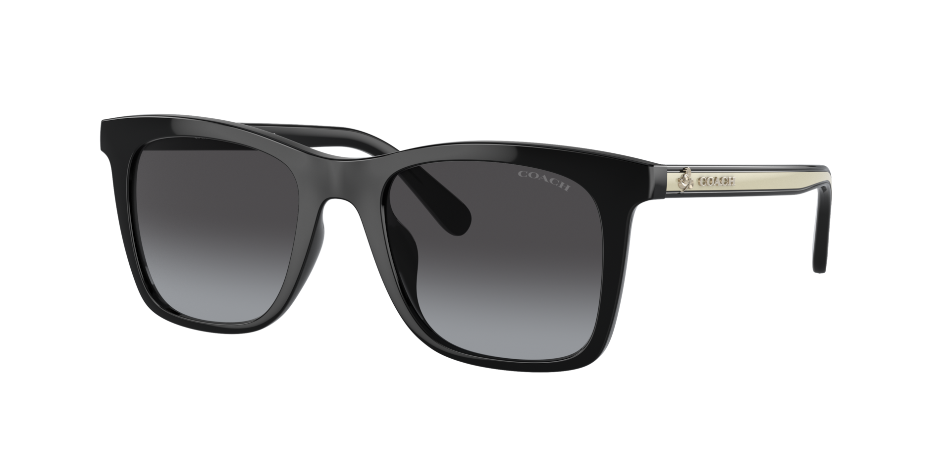 Coach Femme Sunglass CH561 - Couleur du Monture: Noir, Couleur de Lentille: Dégradé Gris
