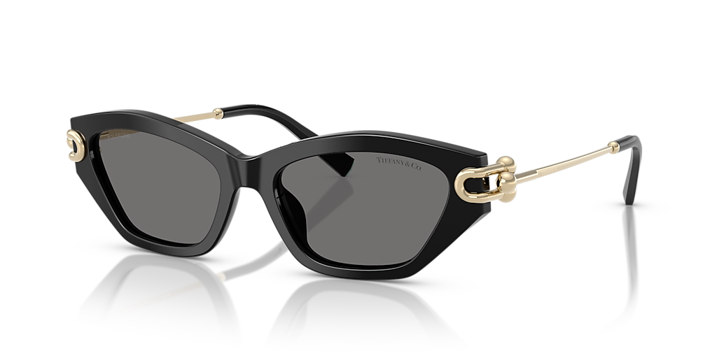 Tiffany & Co. TF4231U XL (53 - 17) con Cristales Gris y Montura