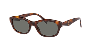 Saint Laurent SL 746 XXS (48 - 23) with Silver lenses and Brown