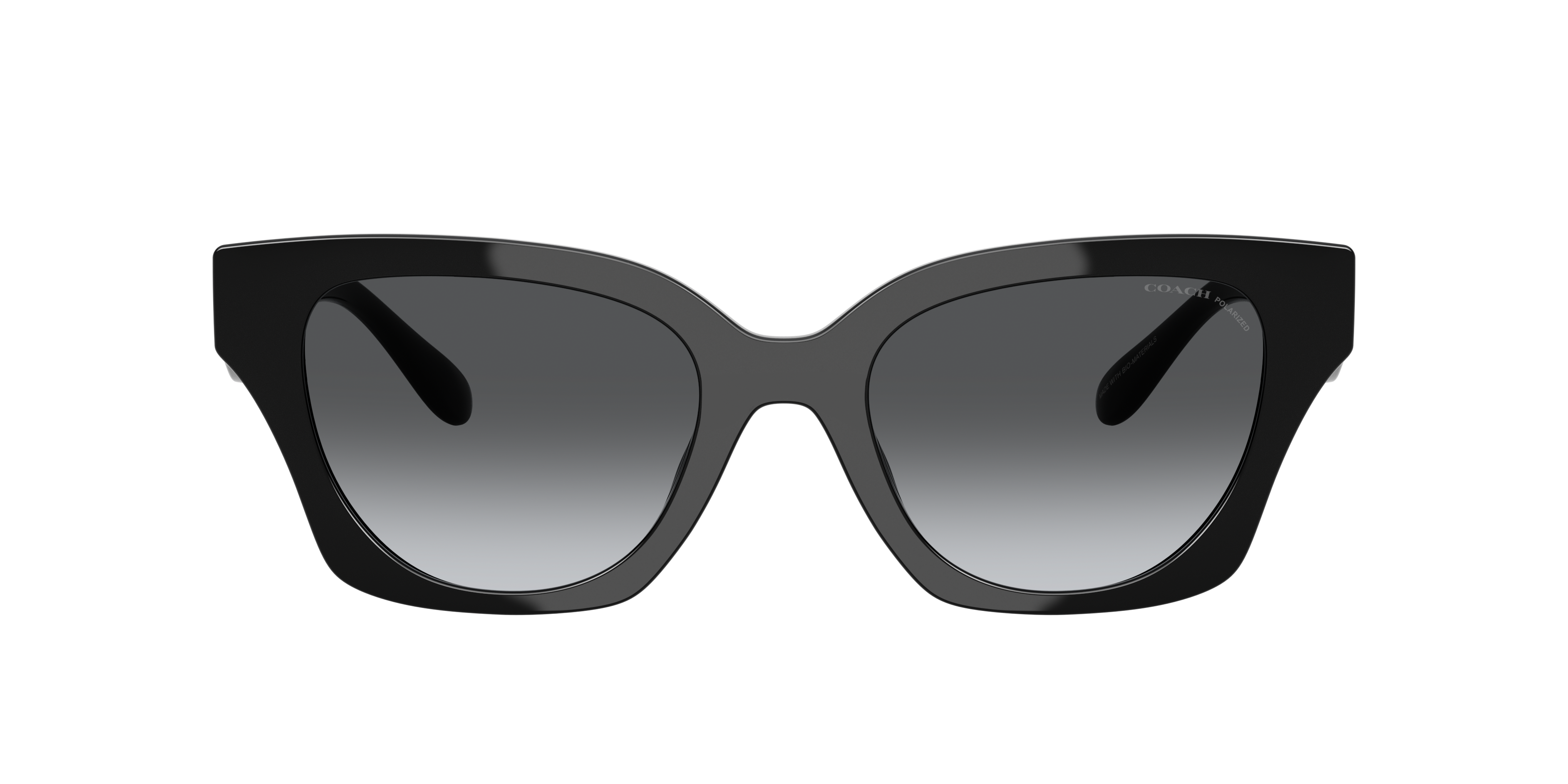 Coach CAD18 L (53 - 20) with Grey lenses and Black frame