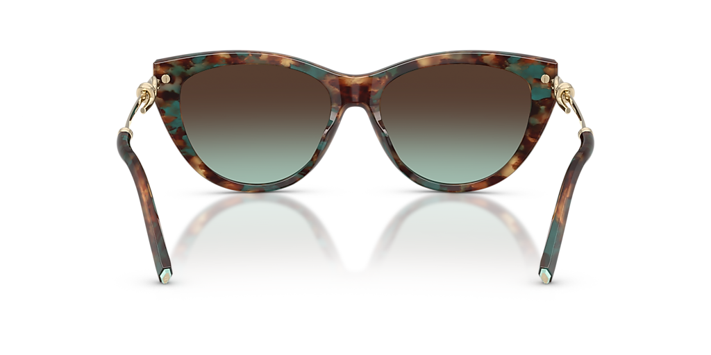 Tiffany & Co. TF4253 XL (55 - 16) with Blue lenses and Tortoise