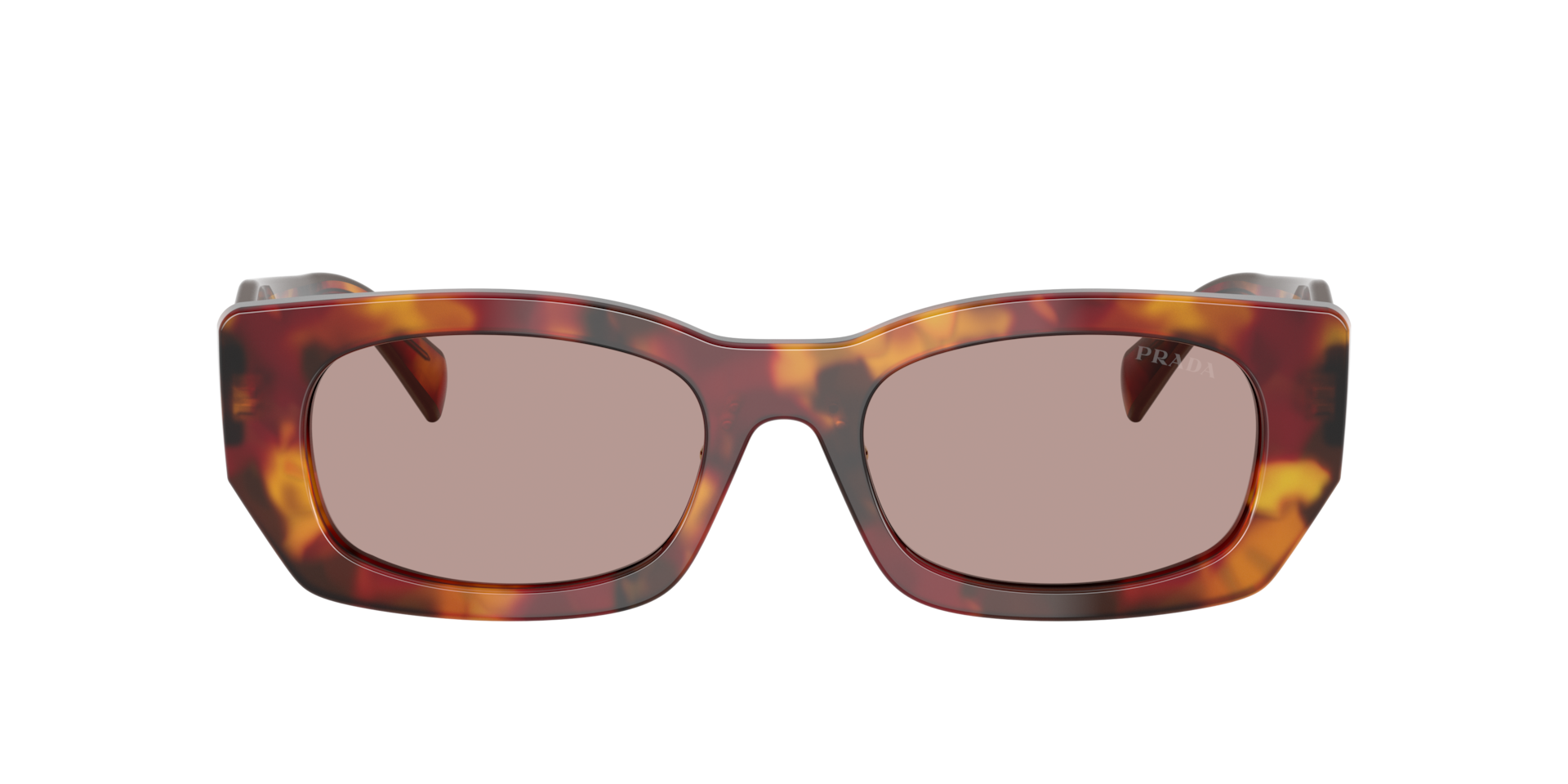Prada PR B05SF L (53 - 19) with Violet lenses and Tortoise frame