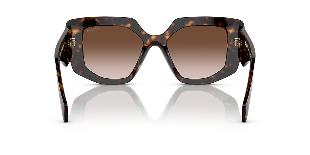 Prada PR 14ZS M (50 - 18) with Brown lenses and Tortoise  display picture 2