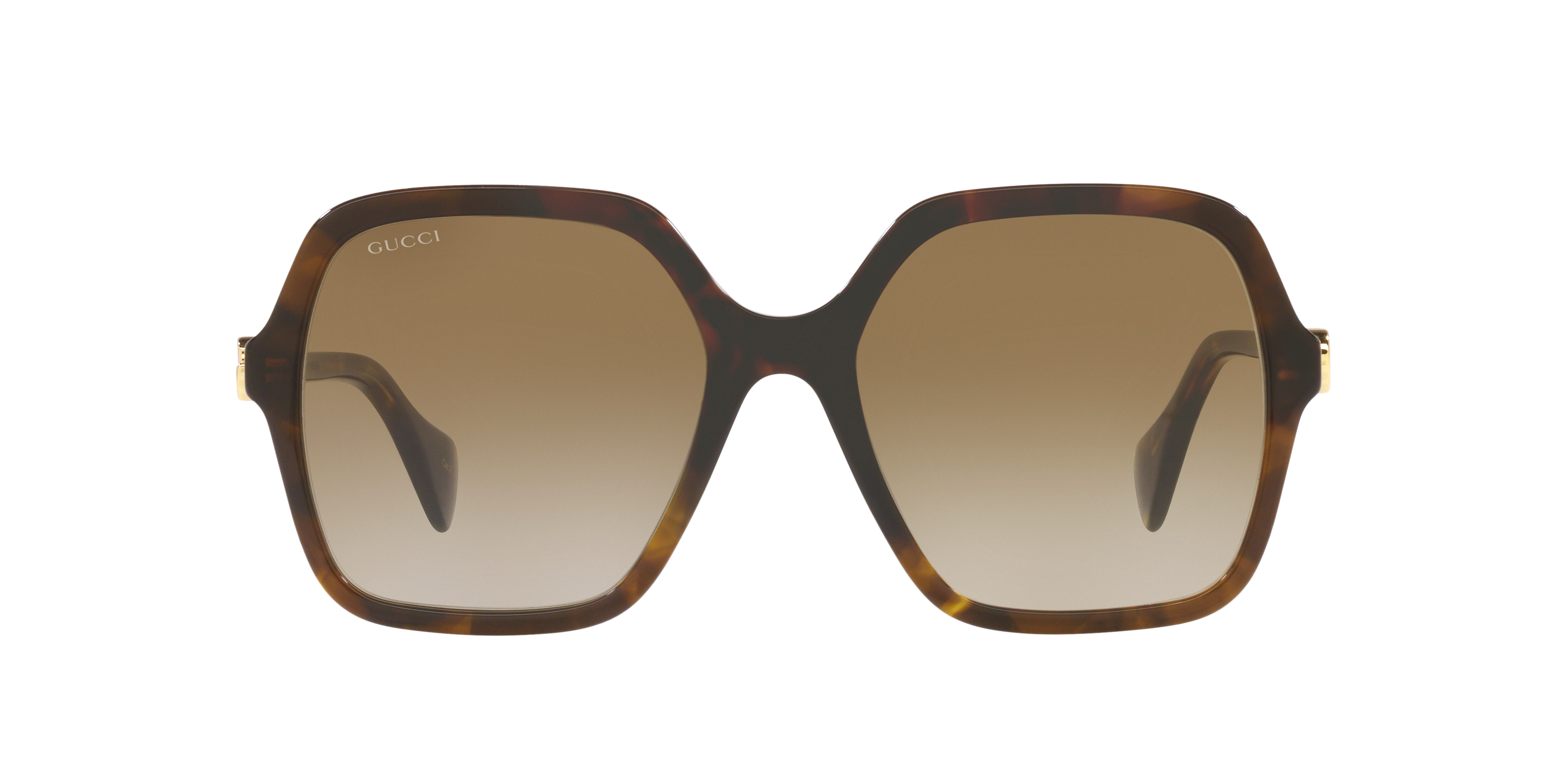 Gucci GG1072S XL (56 - 19) with Brown lenses and Brown frame