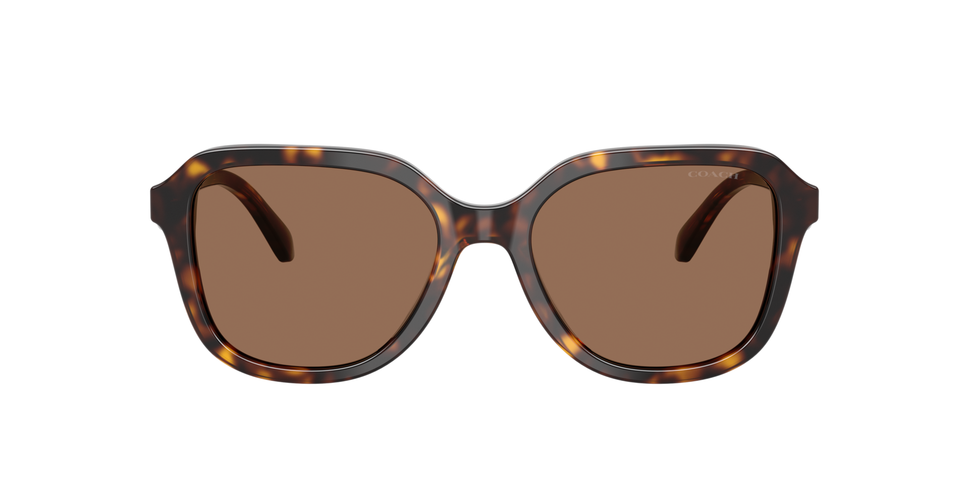 Coach HC8437F CBY89 L (56 - 17) with Brown lenses and Tortoise