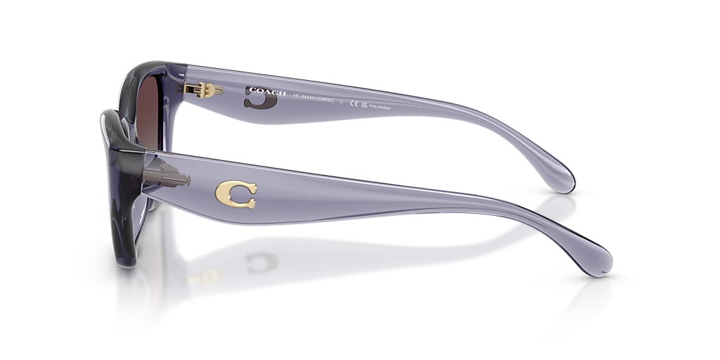 Coach CBY91 M (53 - 19) with Violet lenses and Violet frame  display picture 3