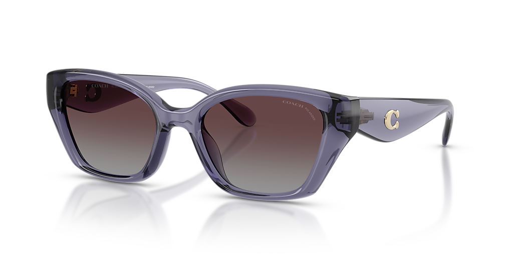 Coach CBY91 M (53 - 19) with Violet lenses and Violet frame  display picture 2