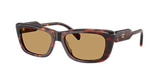 Miu Miu MU 09WS XL (53 - 22) with Brown lenses and Tortoise frame